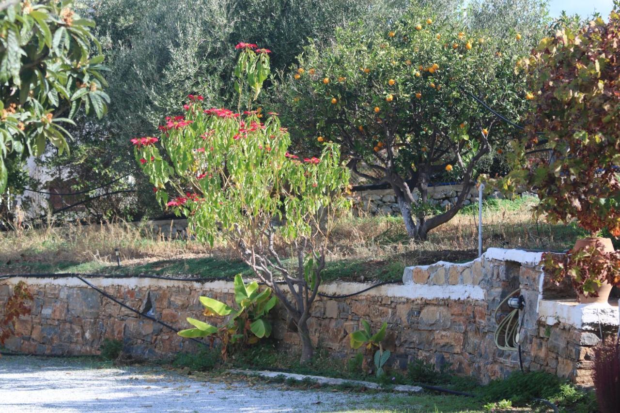 Kassandra Garden Residence Istron Dış mekan fotoğraf