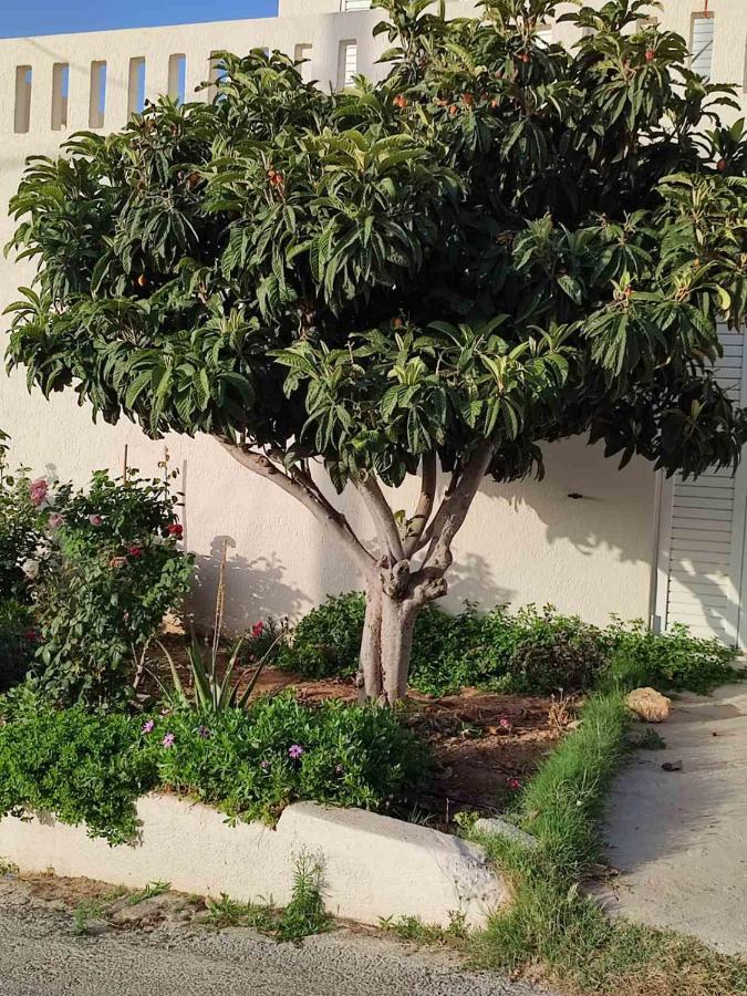 Kassandra Garden Residence Istron Dış mekan fotoğraf